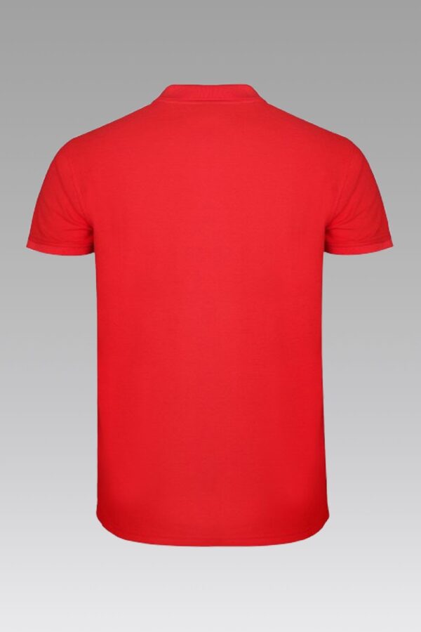 Polo Pique - Imagen 7
