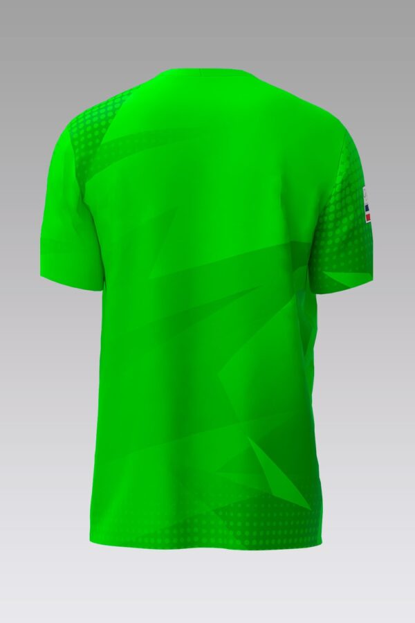 Camiseta Oficial República Dominicana de fútbol portero Verde - Imagen 6